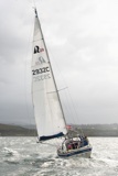 halley 2932c whyw25 fri 800_7523